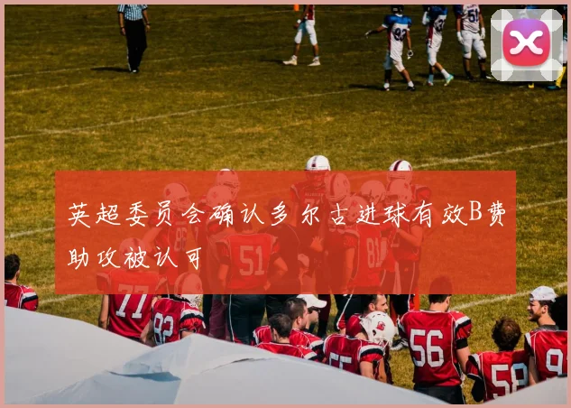 英超委员会确认多尔古进球有效B费助攻被认可